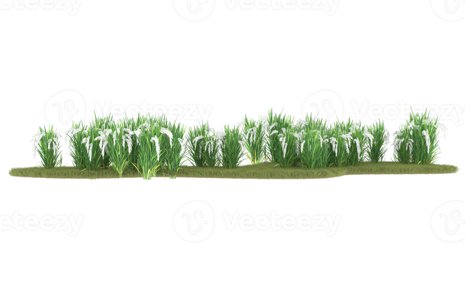 Realistic foliage isolated on transparent background. 3d rendering - illustration png