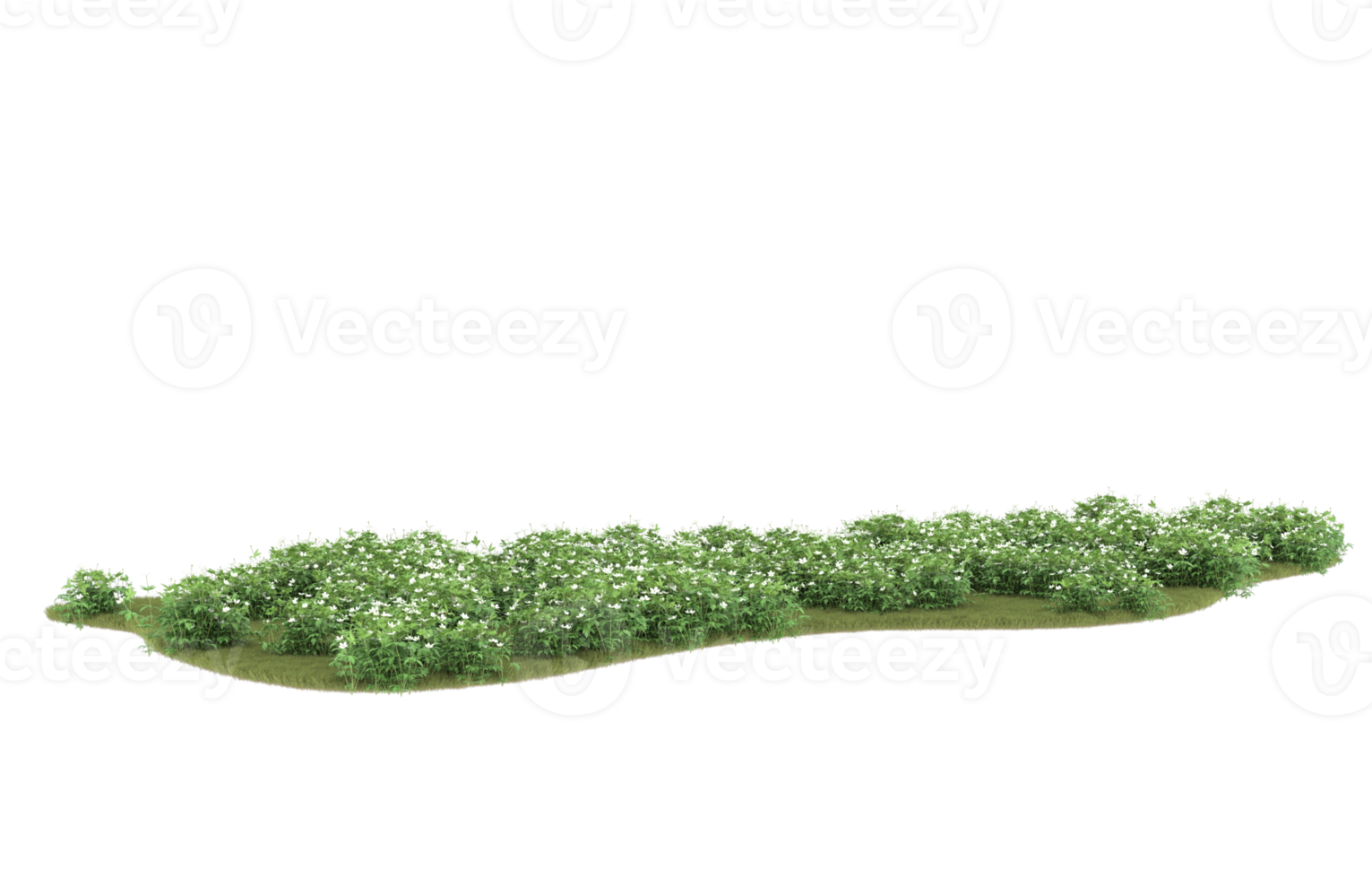 realistisk lövverk isolerat på transparent bakgrund. 3d tolkning - illustration png