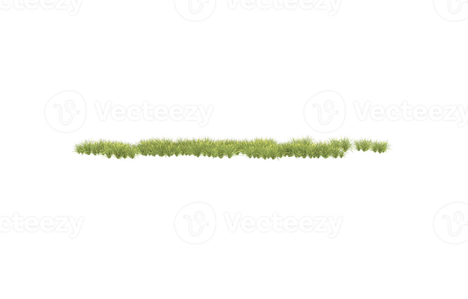 realistisk lövverk isolerat på transparent bakgrund. 3d tolkning - illustration png