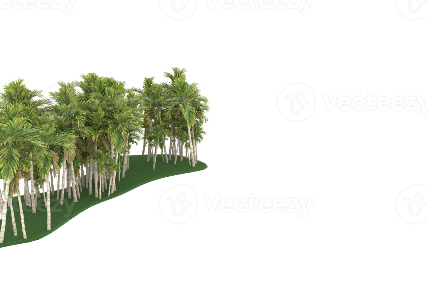 Palm trees isolated on transparent background. 3d rendering - illustration png