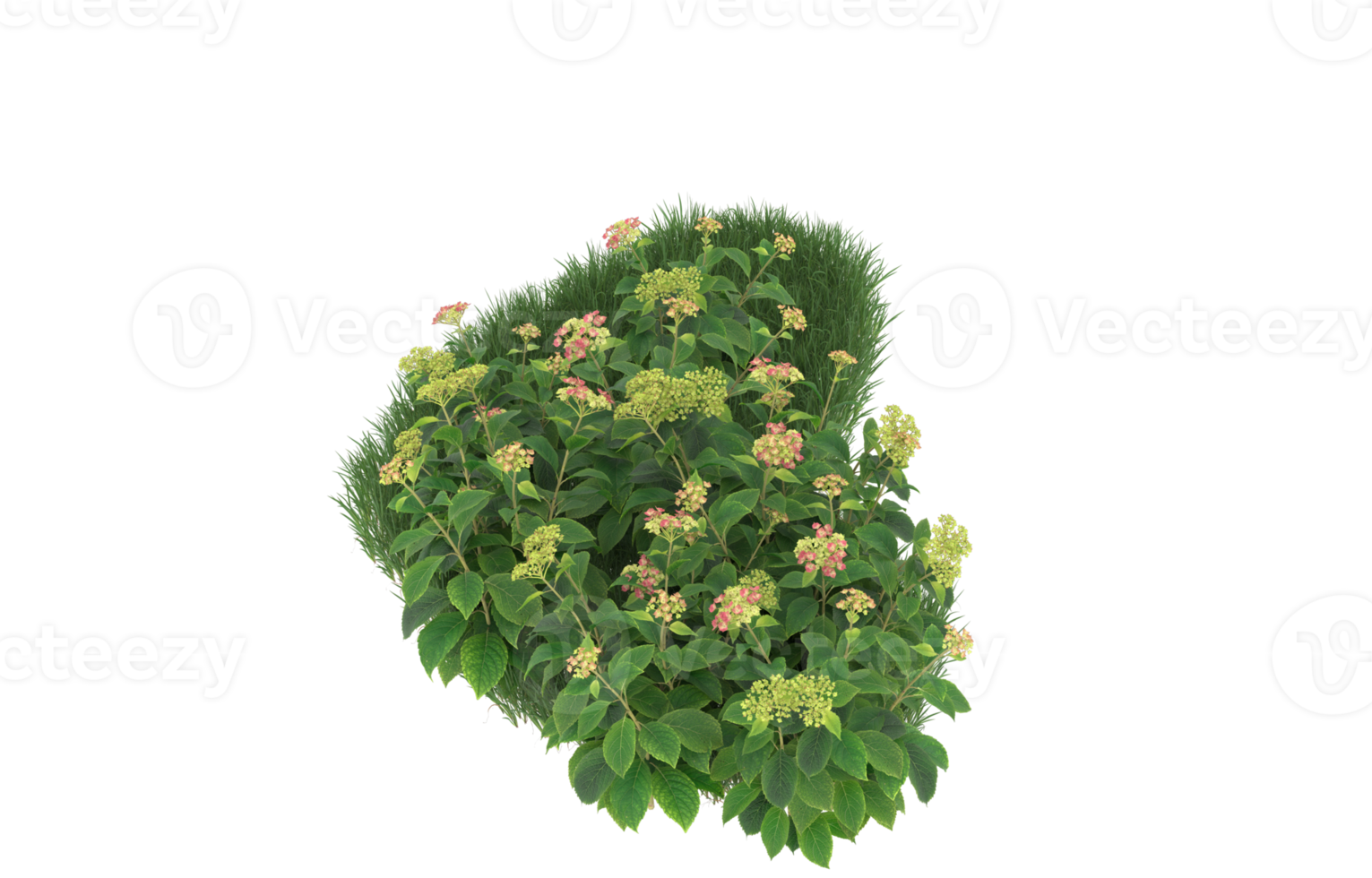 Realistic foliage isolated on transparent background. 3d rendering - illustration png