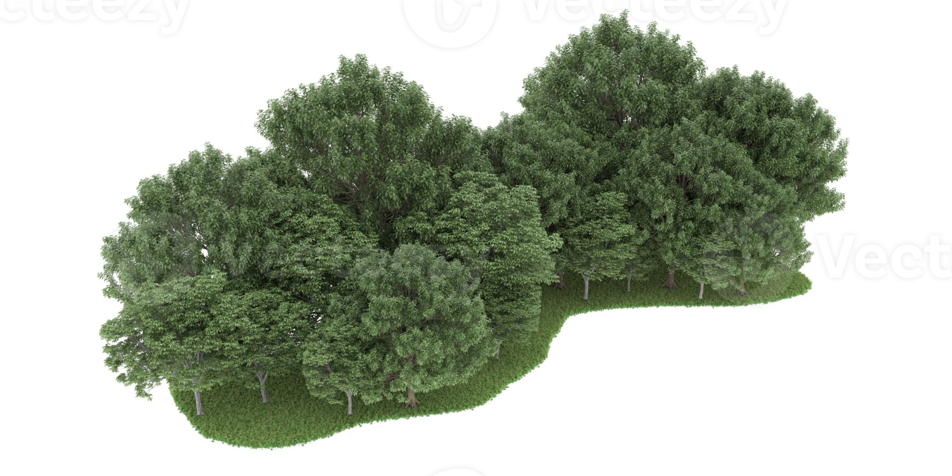 Realistic forest isolated on transparent background. 3d rendering - illustration png