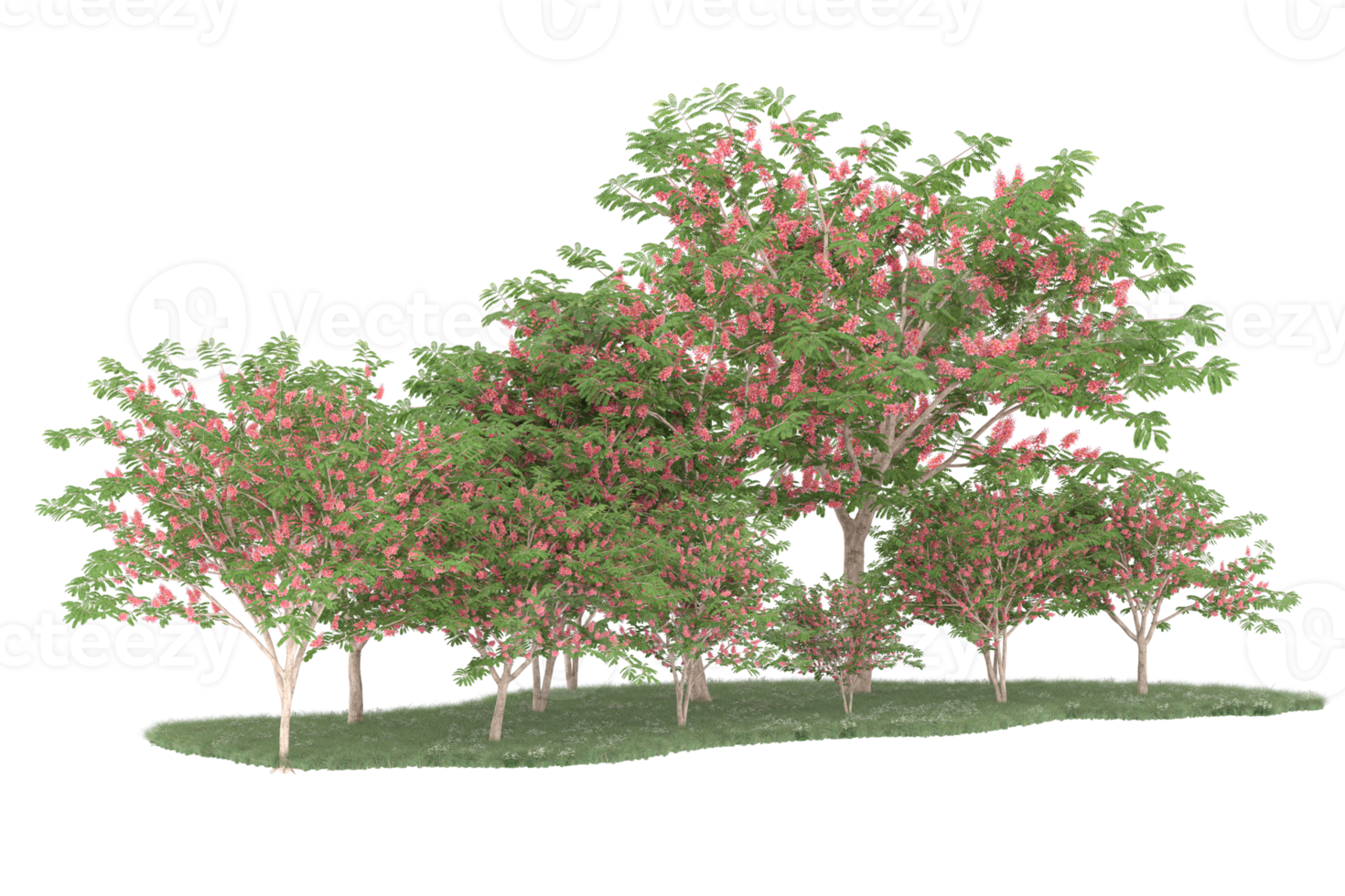 Realistic forest isolated on transparent background. 3d rendering - illustration png