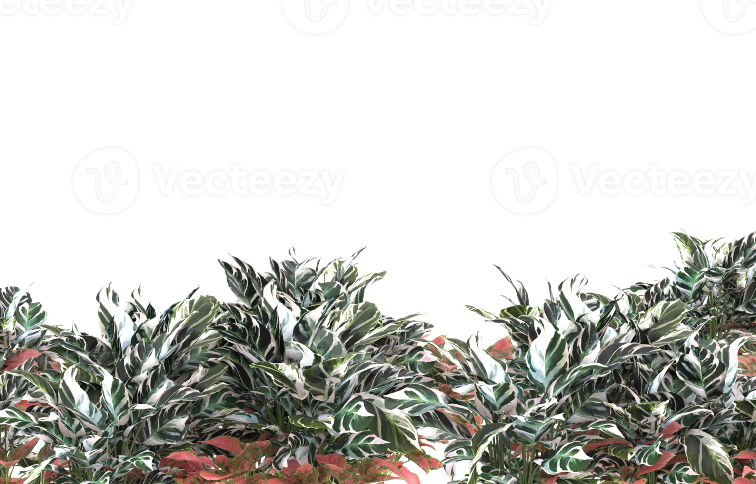 Realistic foliage isolated on transparent background. 3d rendering - illustration png