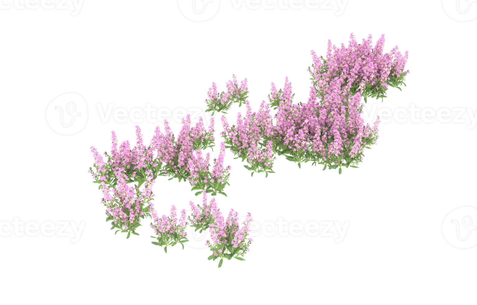 Realistic foliage isolated on transparent background. 3d rendering - illustration png