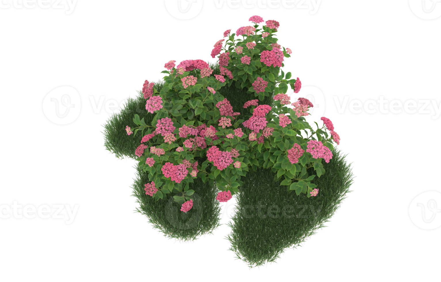 Realistic foliage isolated on transparent background. 3d rendering - illustration png