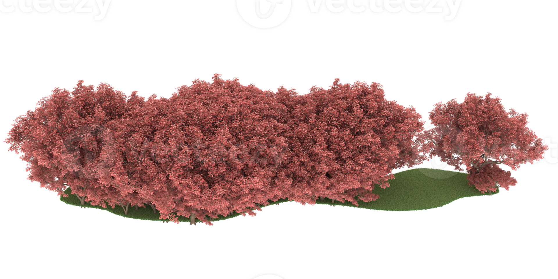 Realistic forest isolated on transparent background. 3d rendering - illustration png