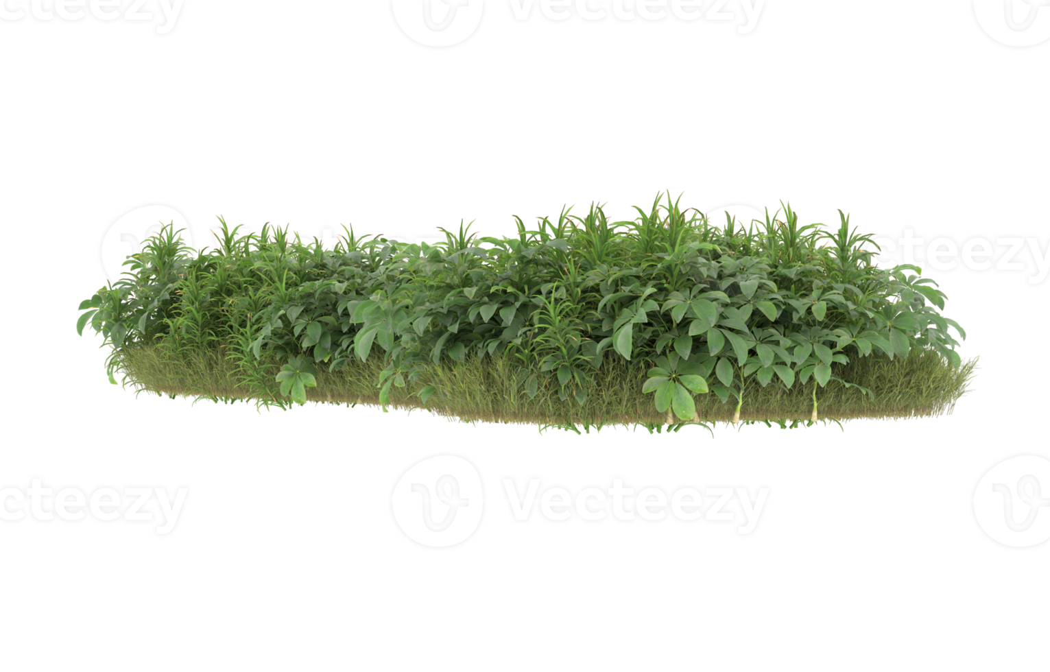Realistic foliage isolated on transparent background. 3d rendering - illustration png