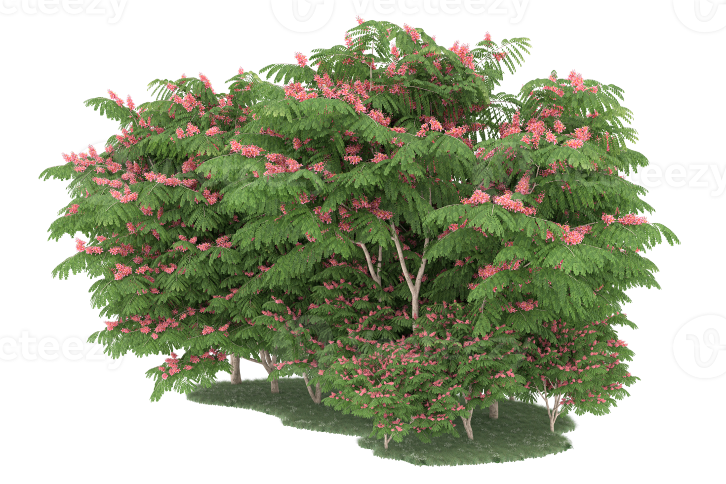 Realistic forest isolated on transparent background. 3d rendering - illustration png