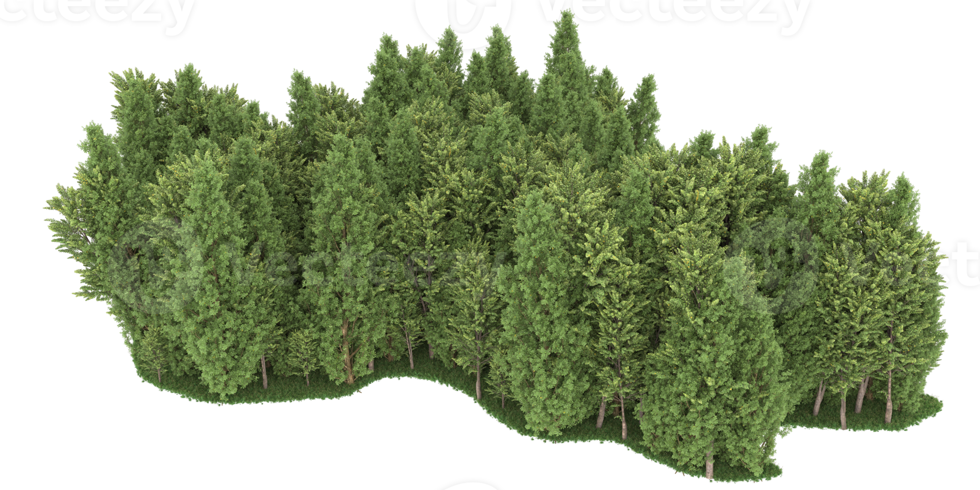 Realistic forest isolated on transparent background. 3d rendering - illustration png