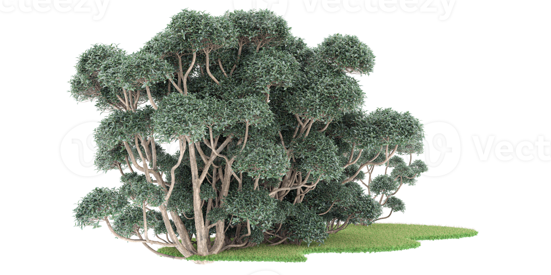 realistico foresta isolato su trasparente sfondo. 3d interpretazione - illustrazione png