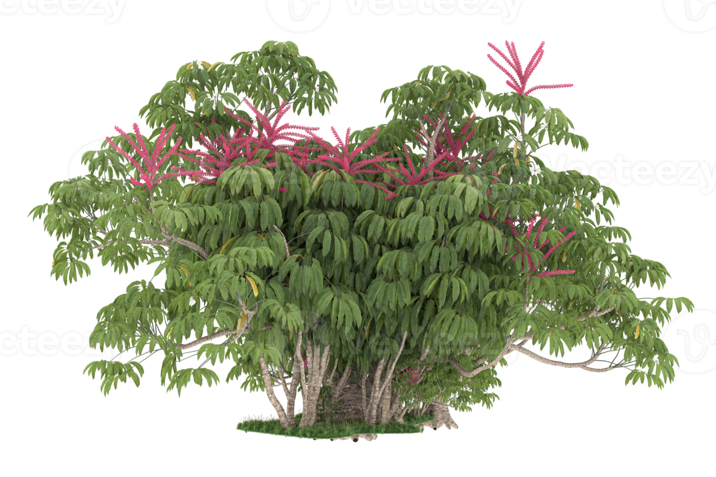 Realistic forest isolated on transparent background. 3d rendering - illustration png
