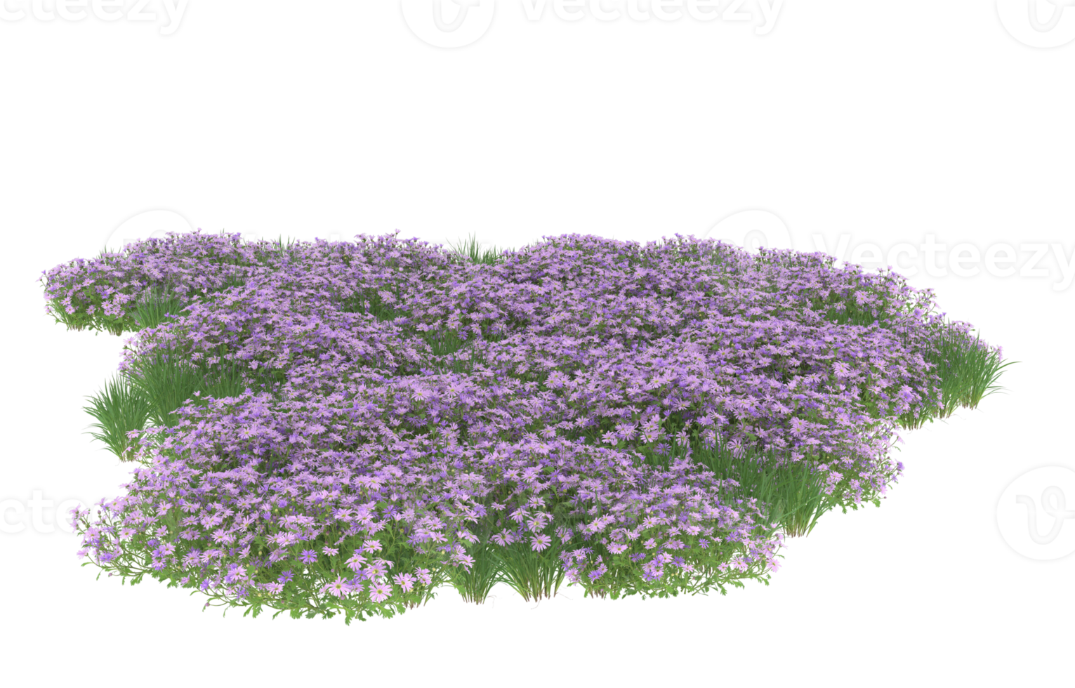 Realistic foliage isolated on transparent background. 3d rendering - illustration png