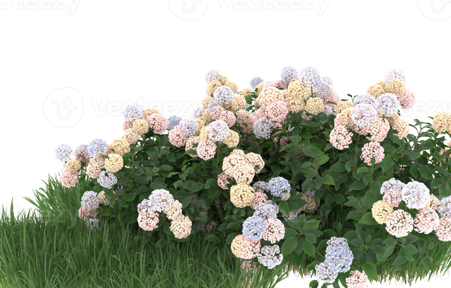 Realistic foliage isolated on transparent background. 3d rendering - illustration png