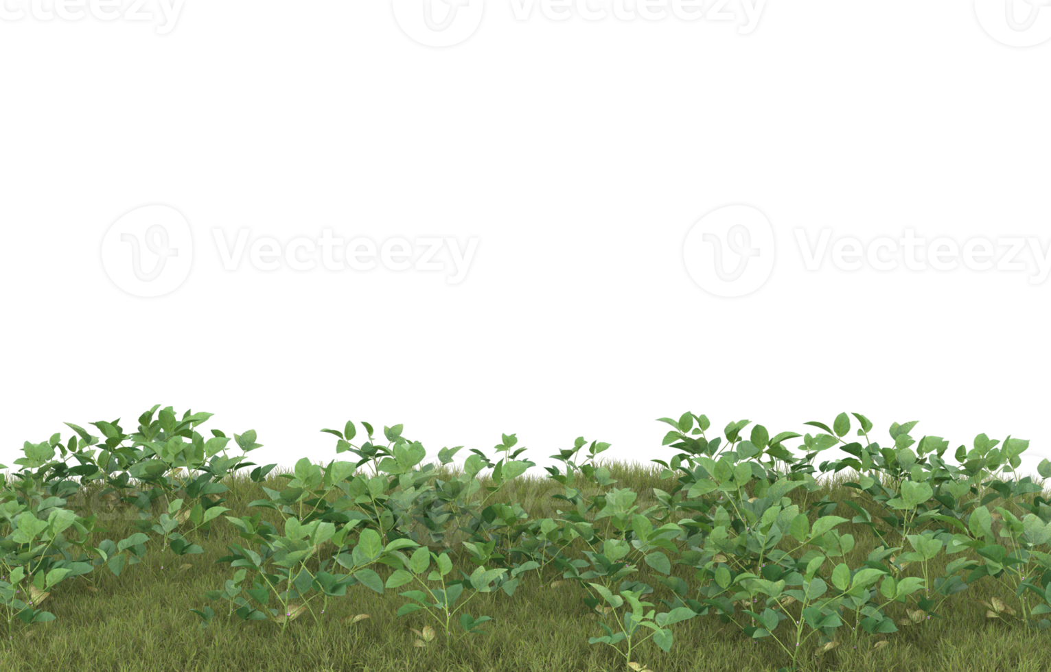 Realistic foliage isolated on transparent background. 3d rendering - illustration png