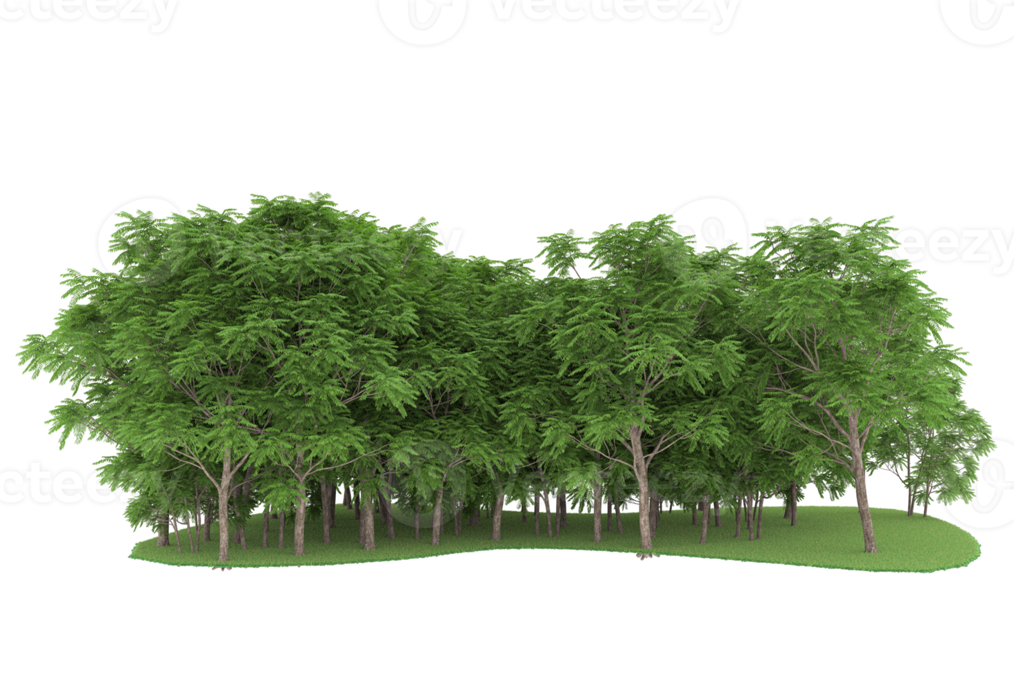 Realistic forest isolated on transparent background. 3d rendering - illustration png