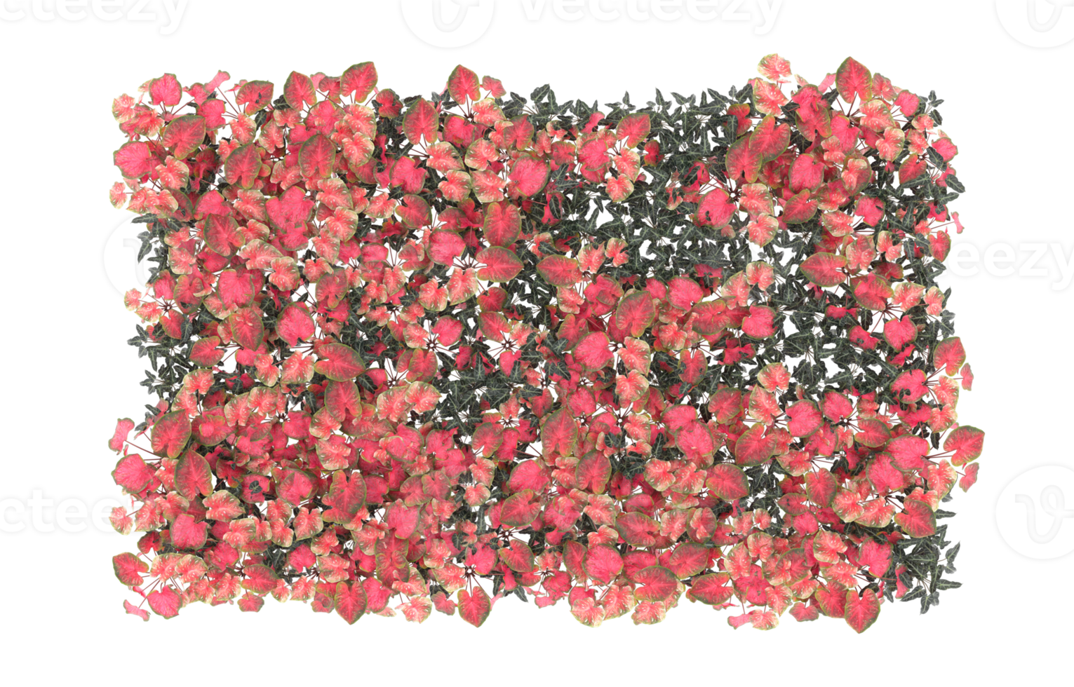 Realistic foliage isolated on transparent background. 3d rendering - illustration png