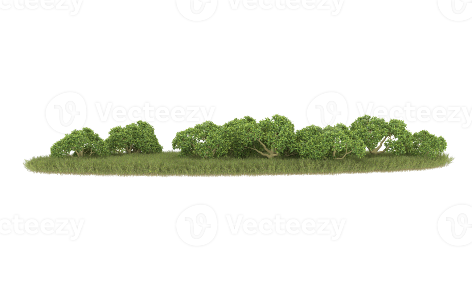 Realistic foliage isolated on transparent background. 3d rendering - illustration png