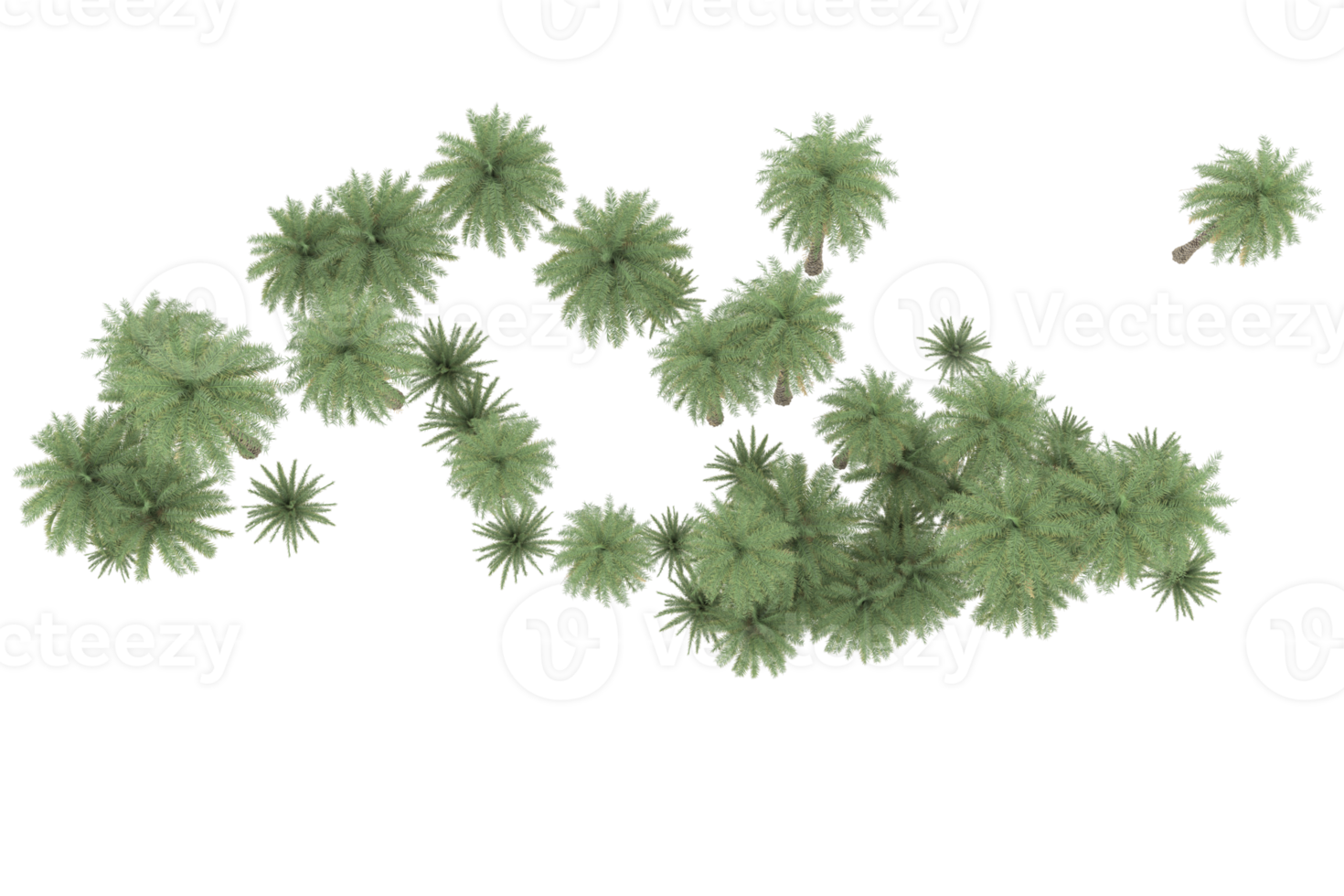 palma alberi isolato su trasparente sfondo. 3d interpretazione - illustrazione png