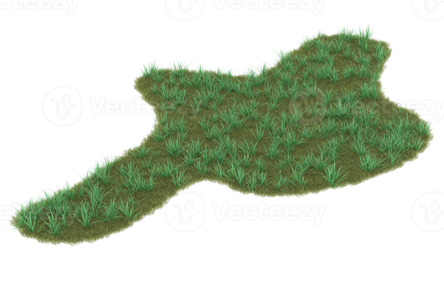 Realistic foliage isolated on transparent background. 3d rendering - illustration png