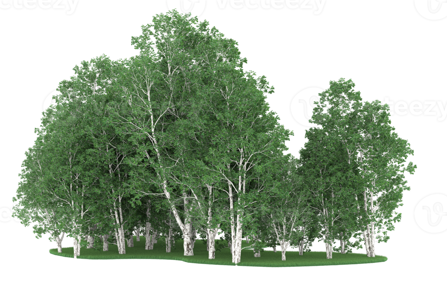 Realistic forest isolated on transparent background. 3d rendering - illustration png