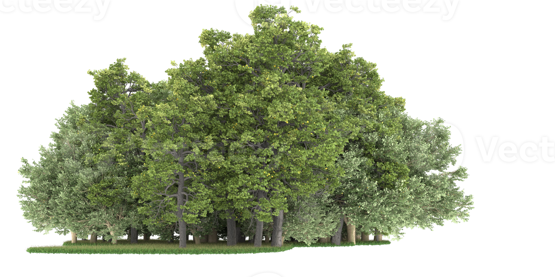 Realistic forest isolated on transparent background. 3d rendering - illustration png