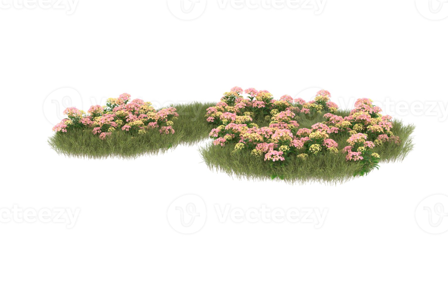 Realistic foliage isolated on transparent background. 3d rendering - illustration png