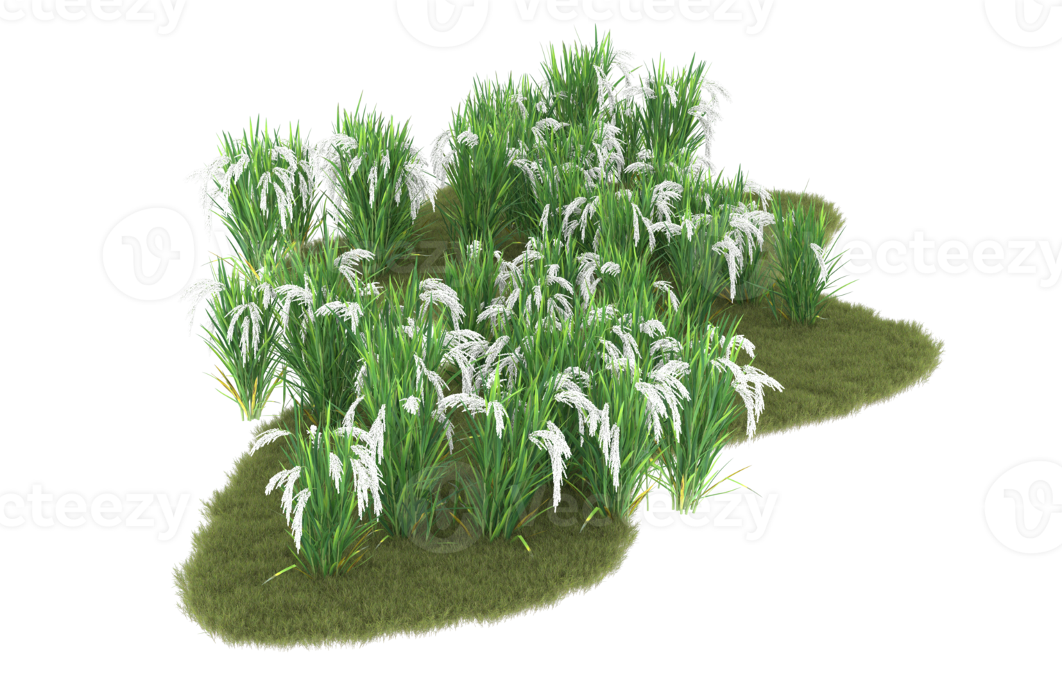 Realistic foliage isolated on transparent background. 3d rendering - illustration png