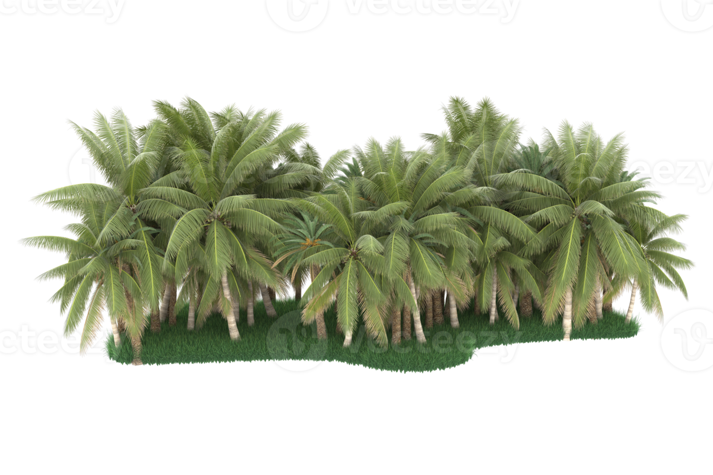 Palm trees isolated on transparent background. 3d rendering - illustration png