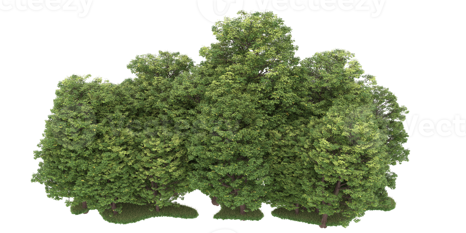 Realistic forest isolated on transparent background. 3d rendering - illustration png