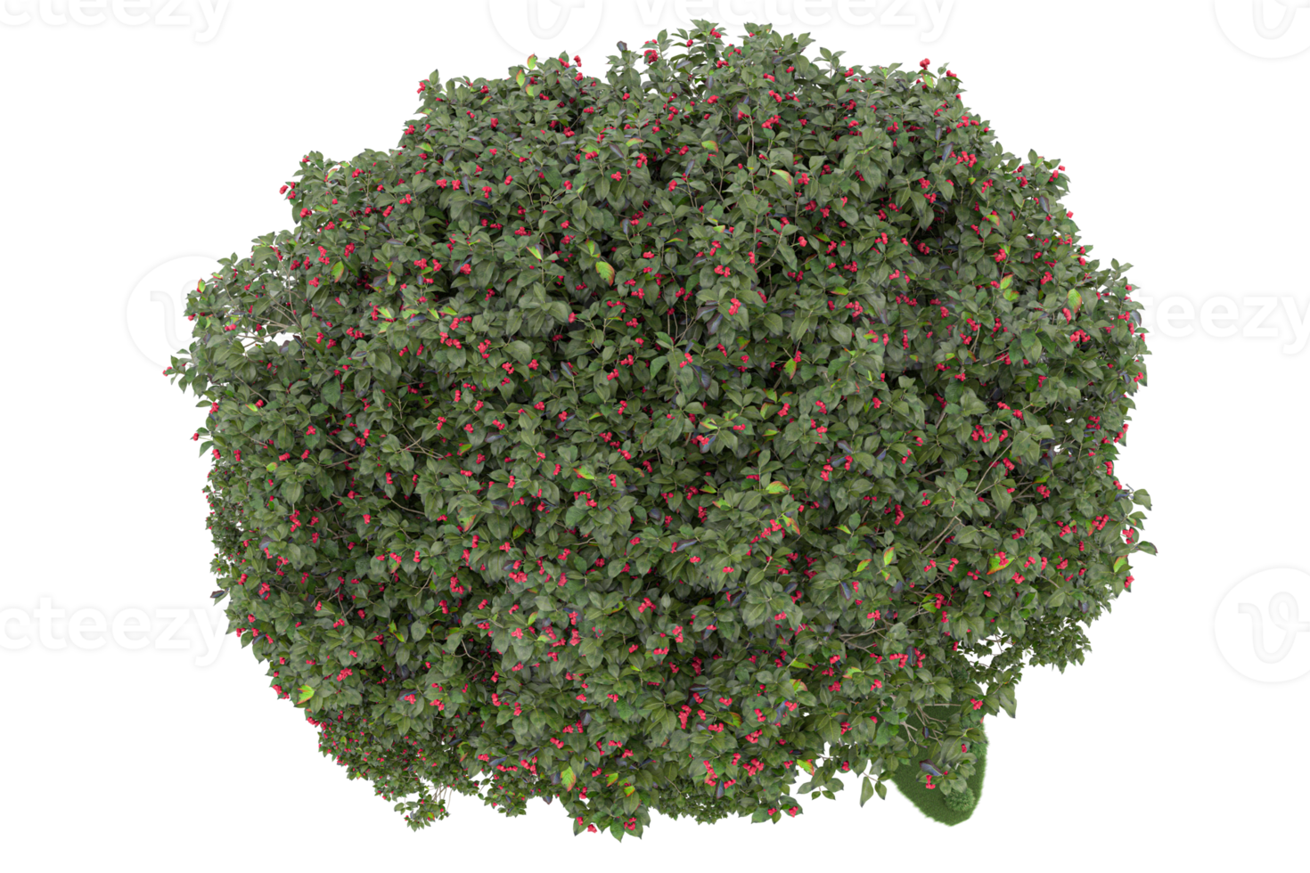 Realistic forest isolated on transparent background. 3d rendering - illustration png