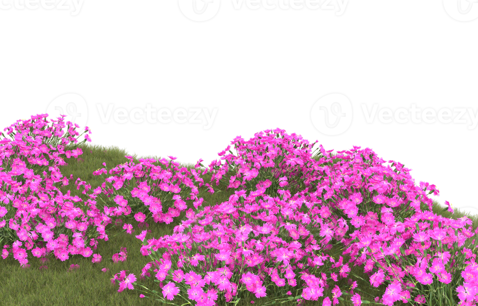 Realistic foliage isolated on transparent background. 3d rendering - illustration png
