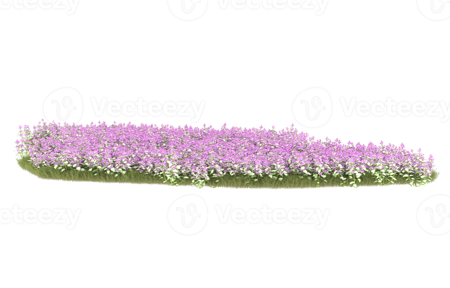 Realistic foliage isolated on transparent background. 3d rendering - illustration png