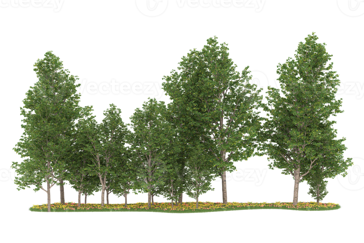 Realistic forest isolated on transparent background. 3d rendering - illustration png