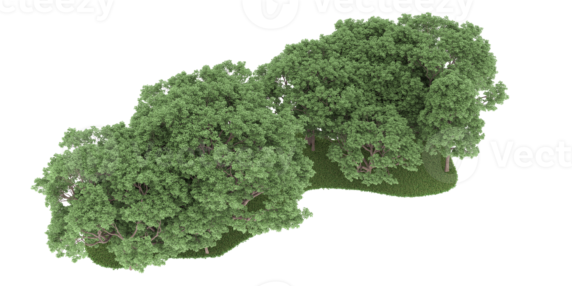 Realistic forest isolated on transparent background. 3d rendering - illustration png