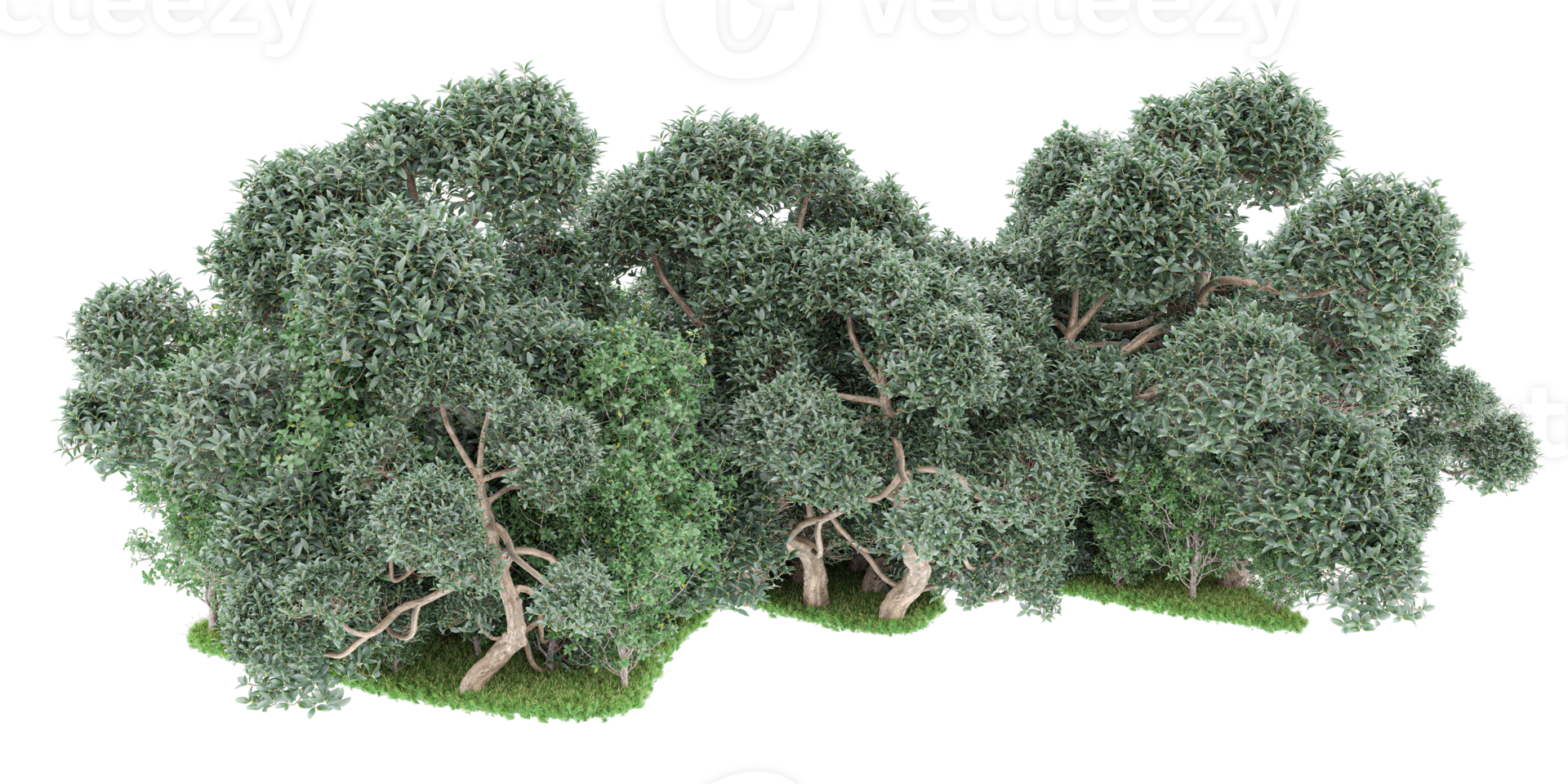 Realistic forest isolated on transparent background. 3d rendering - illustration png