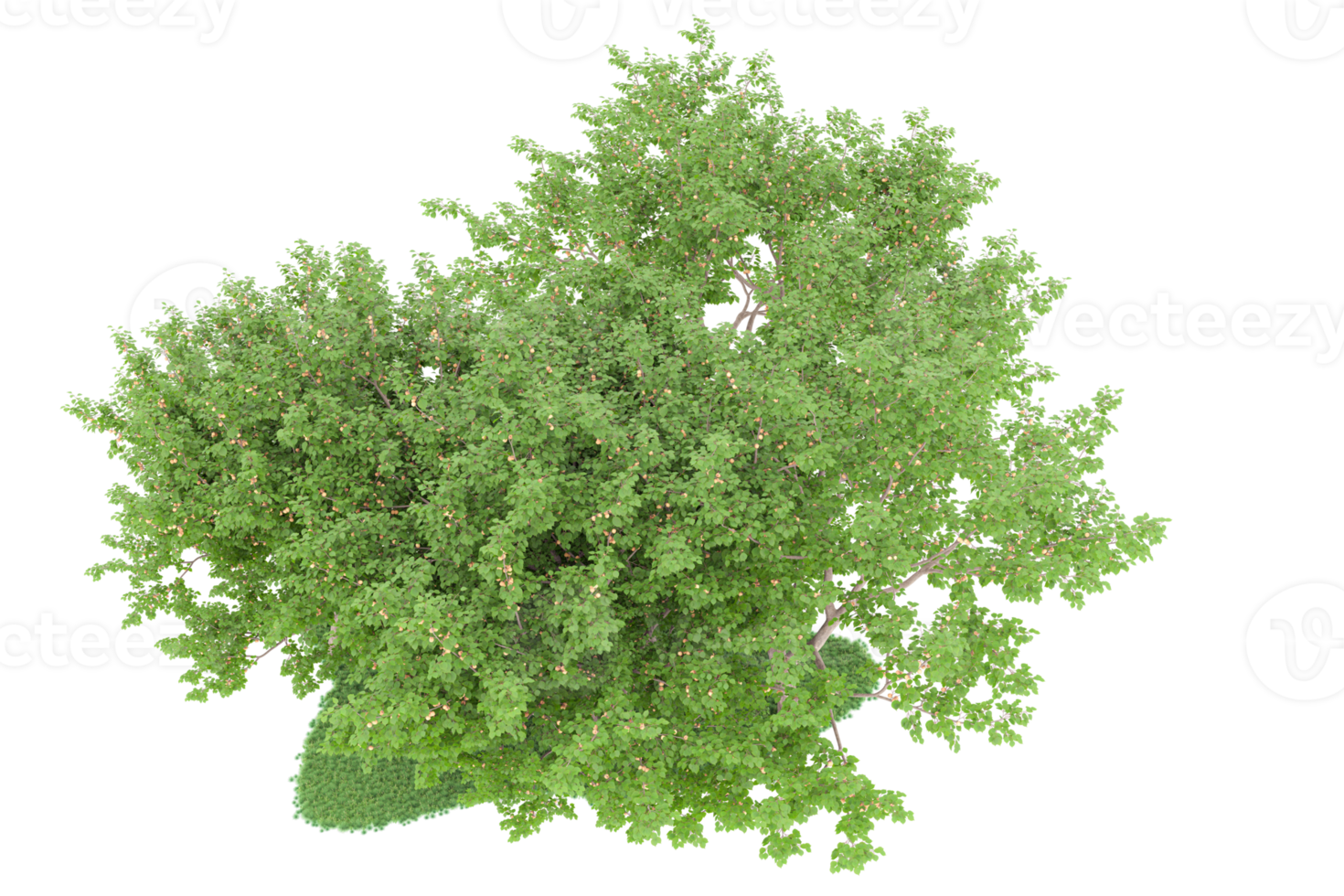 Realistic forest isolated on transparent background. 3d rendering - illustration png