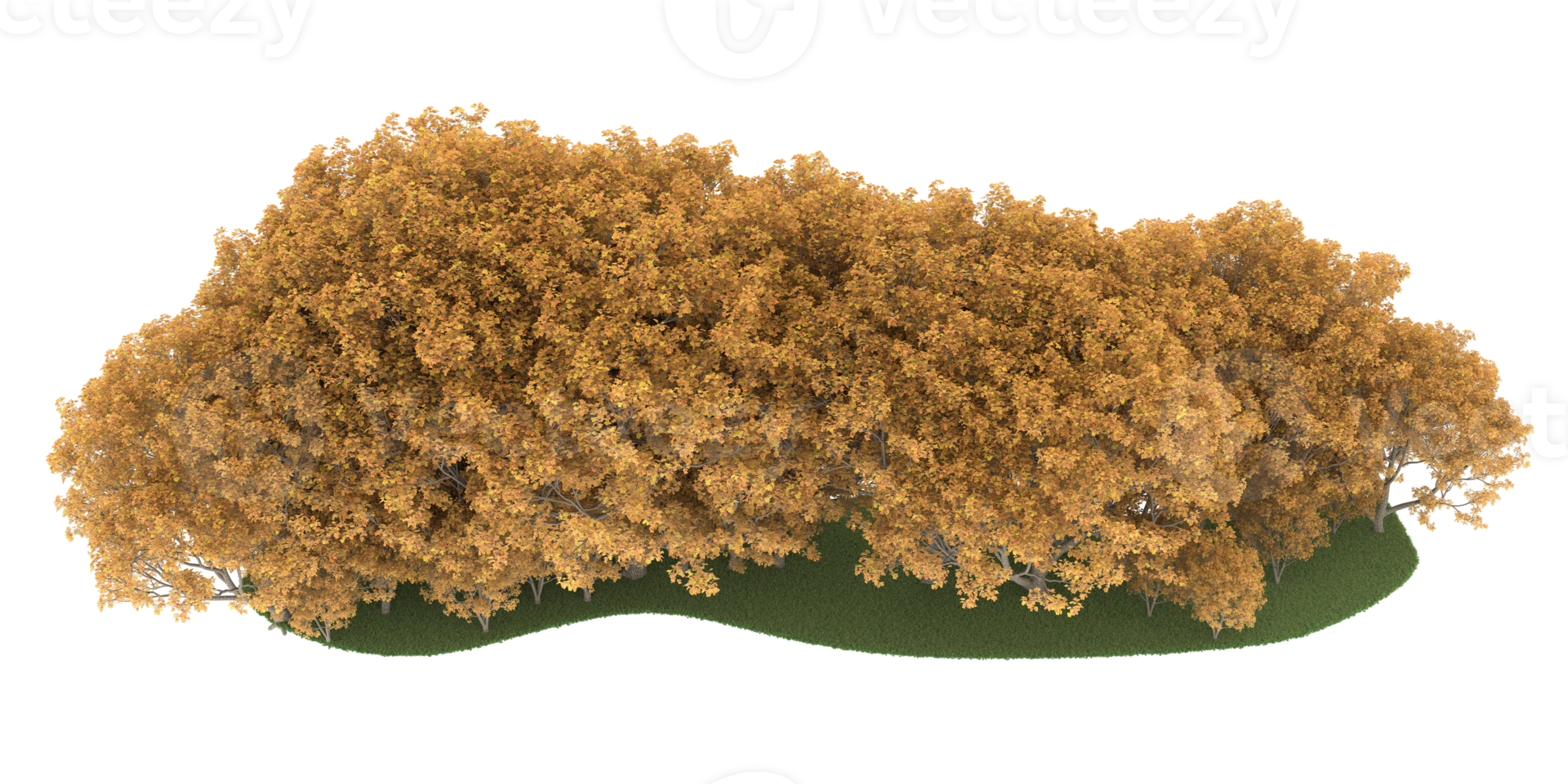 Realistic forest isolated on transparent background. 3d rendering - illustration png