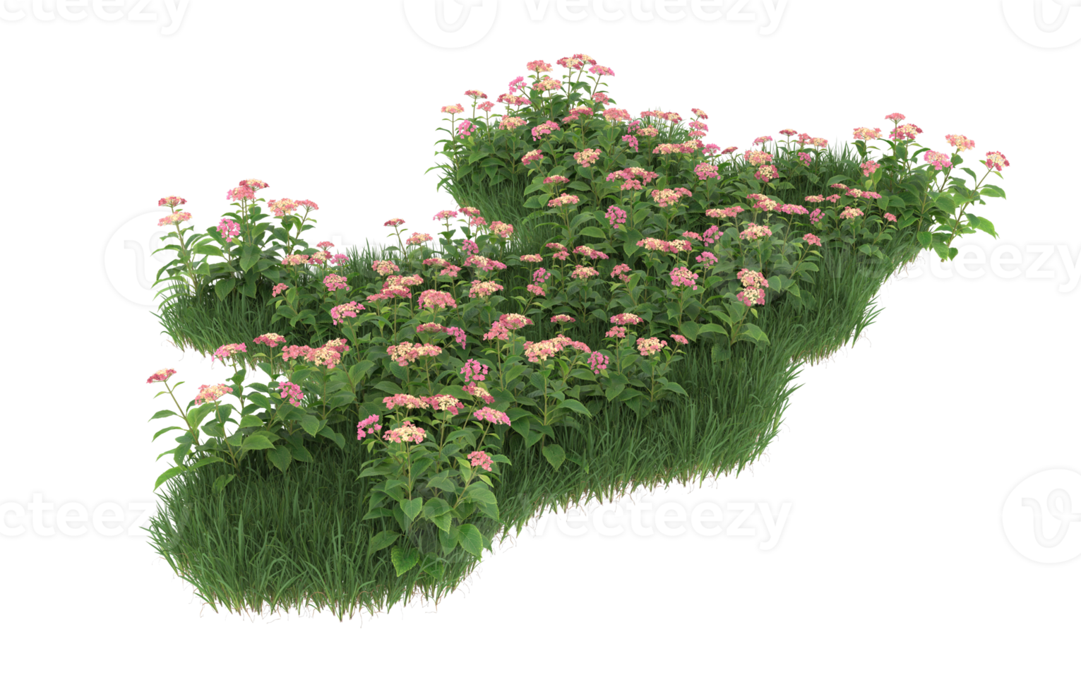 Realistic foliage isolated on transparent background. 3d rendering - illustration png
