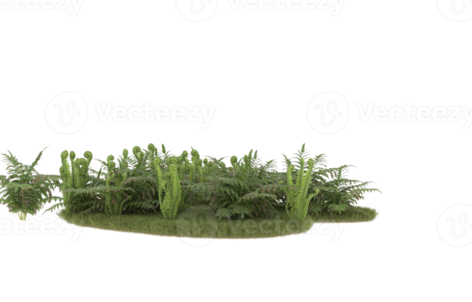 Realistic foliage isolated on transparent background. 3d rendering - illustration png