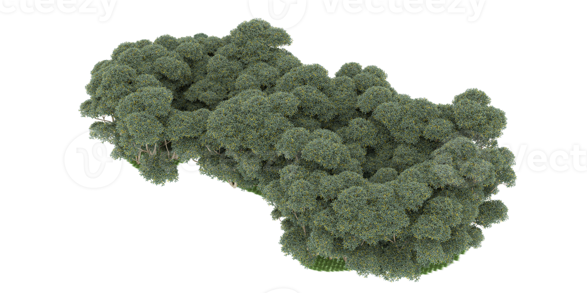 realistico foresta isolato su trasparente sfondo. 3d interpretazione - illustrazione png