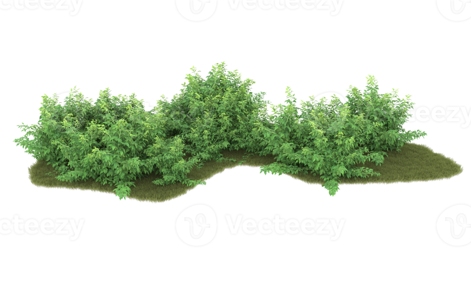 Realistic foliage isolated on transparent background. 3d rendering - illustration png