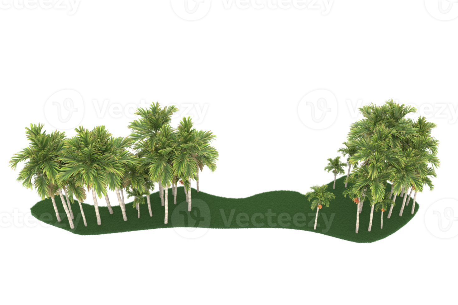 palm bomen geïsoleerd Aan transparant achtergrond. 3d renderen - illustratie png