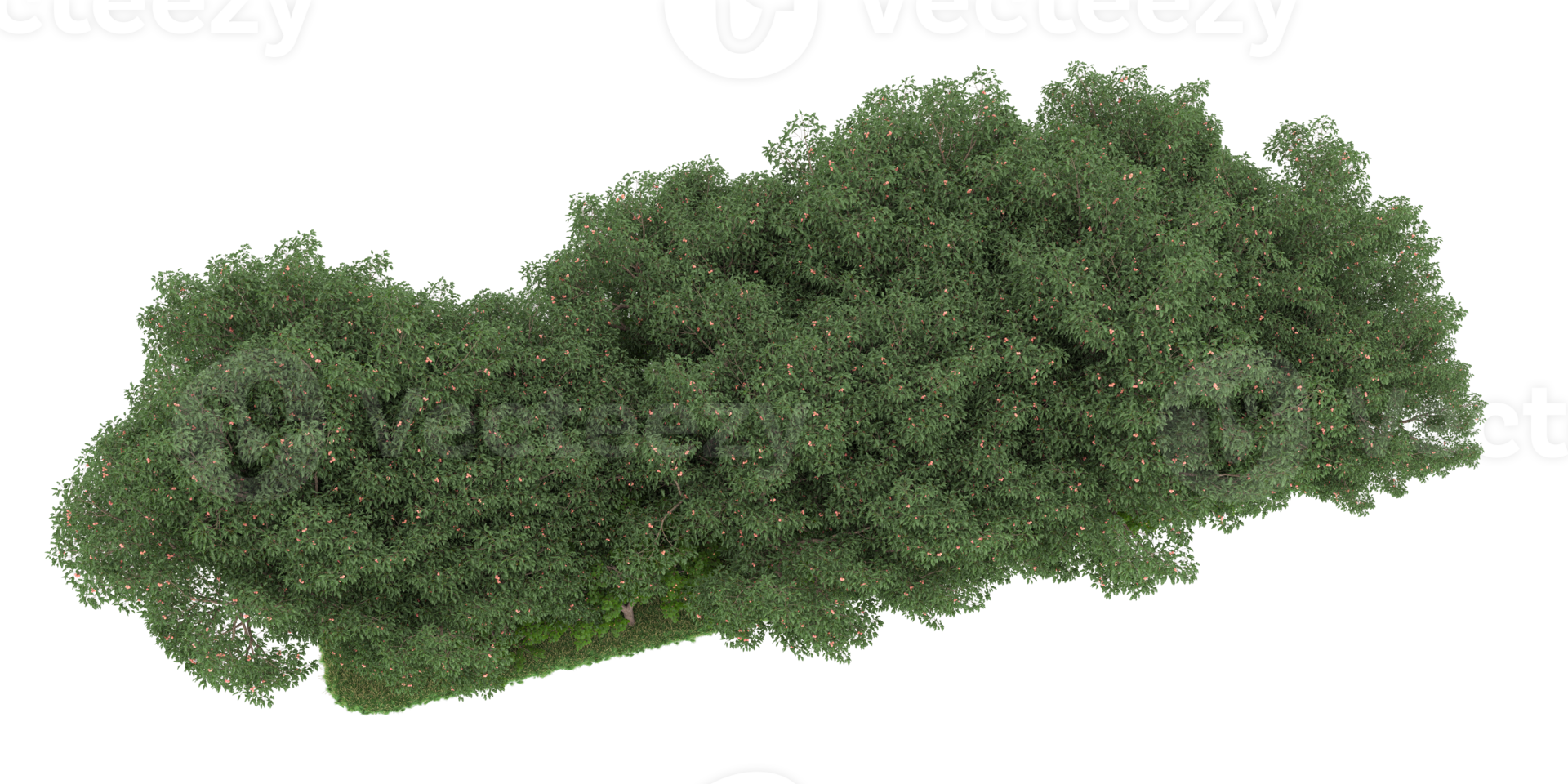 floresta realista isolada em fundo transparente. renderização 3D - ilustração png