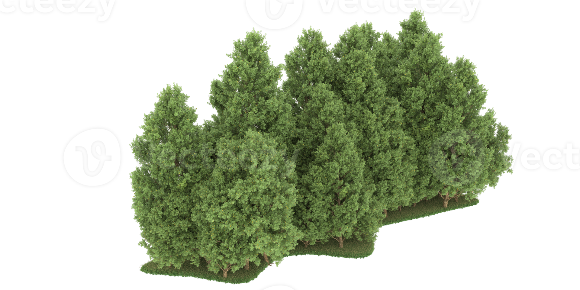 Realistic forest isolated on transparent background. 3d rendering - illustration png