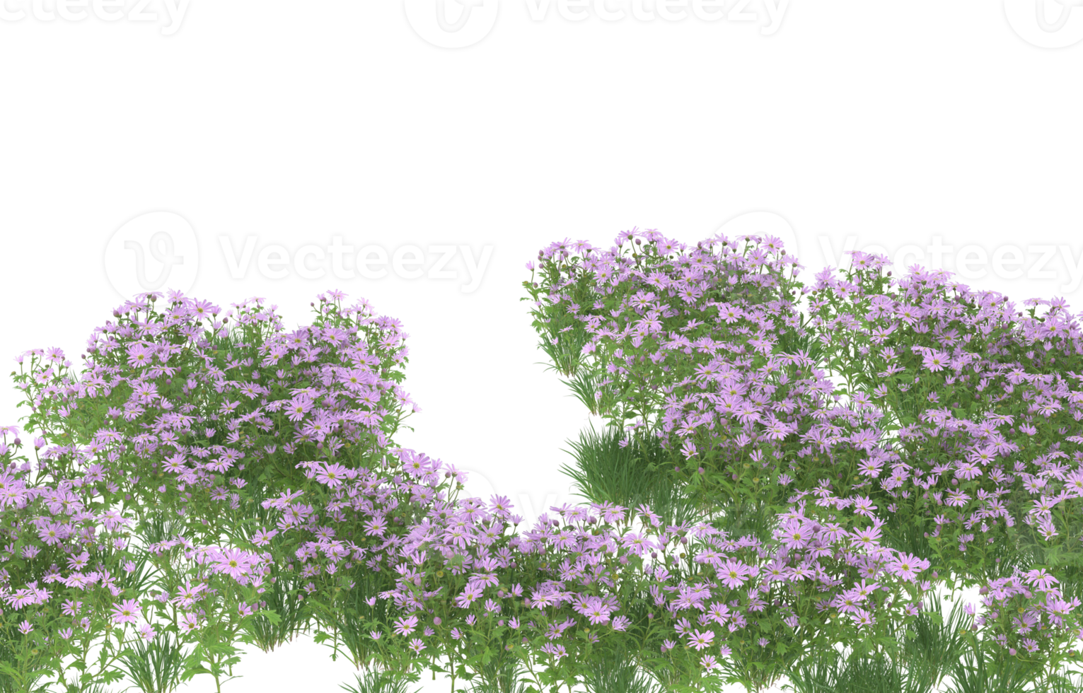 Realistic foliage isolated on transparent background. 3d rendering - illustration png