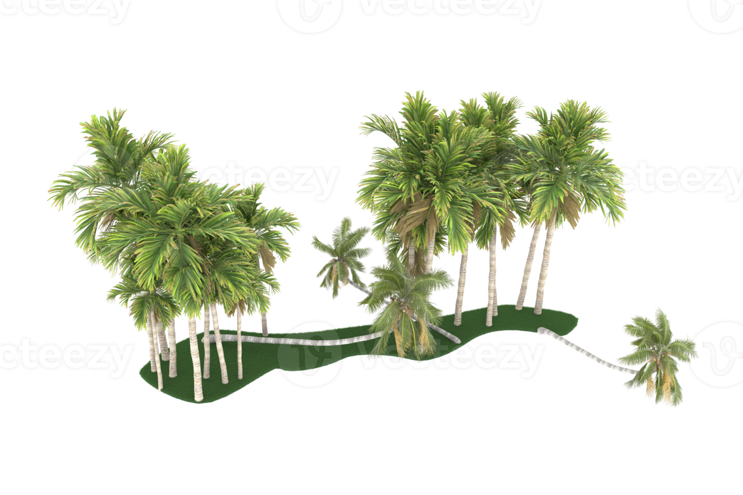 Palm trees isolated on transparent background. 3d rendering - illustration png