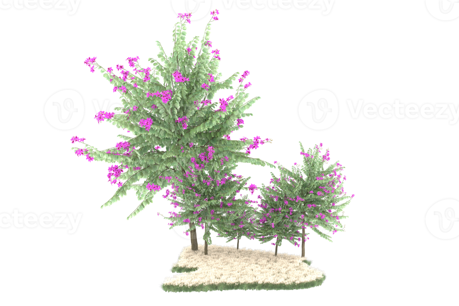 realistischer wald lokalisiert auf transparentem hintergrund. 3D-Rendering - Abbildung png