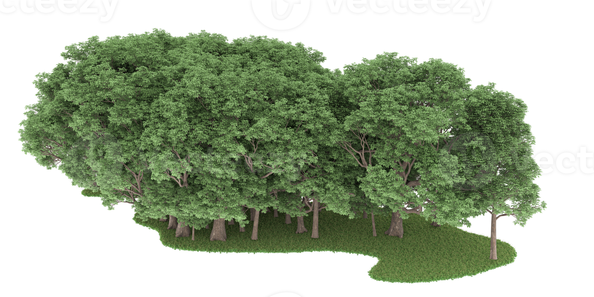 Realistic forest isolated on transparent background. 3d rendering - illustration png