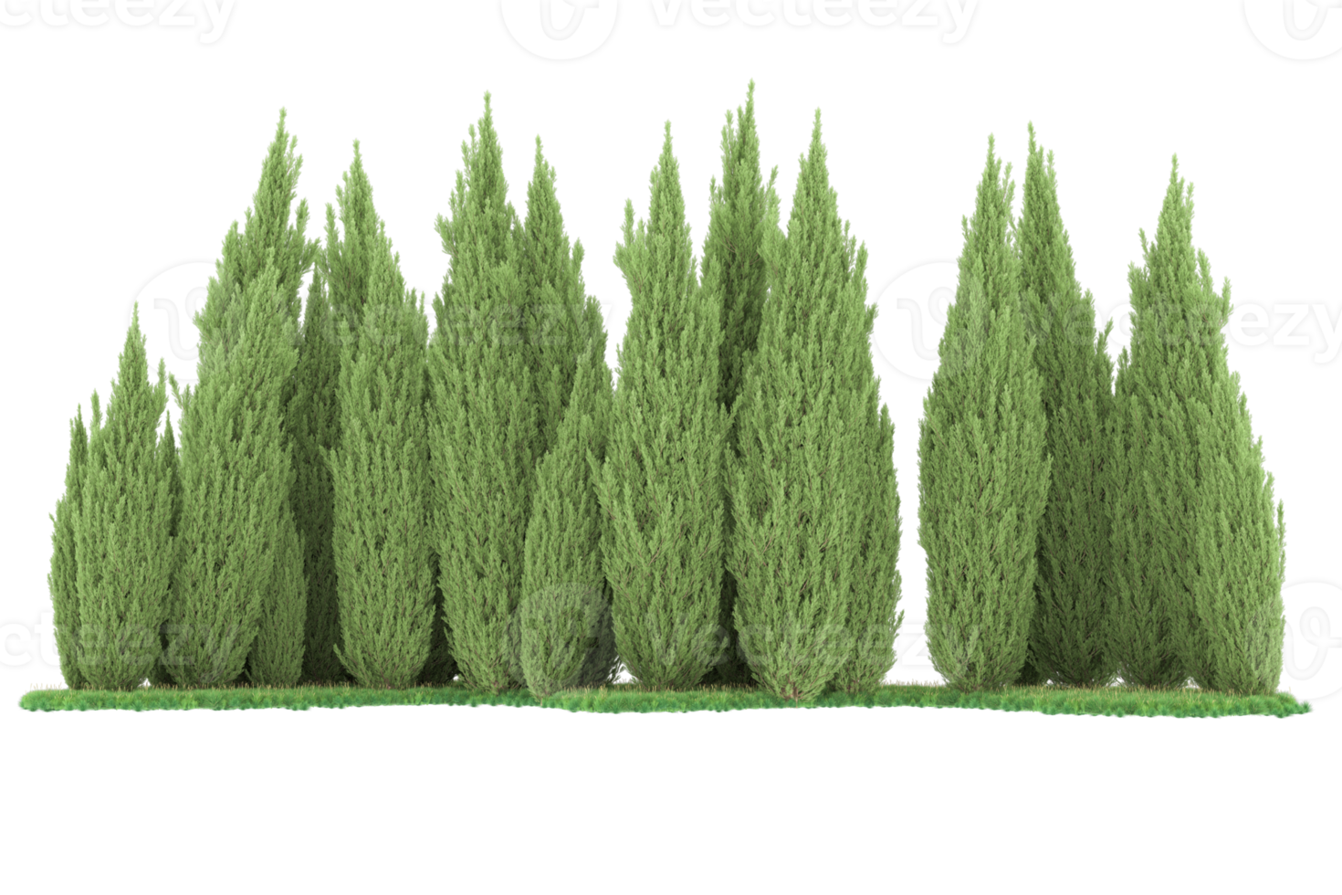 Realistic forest isolated on transparent background. 3d rendering - illustration png